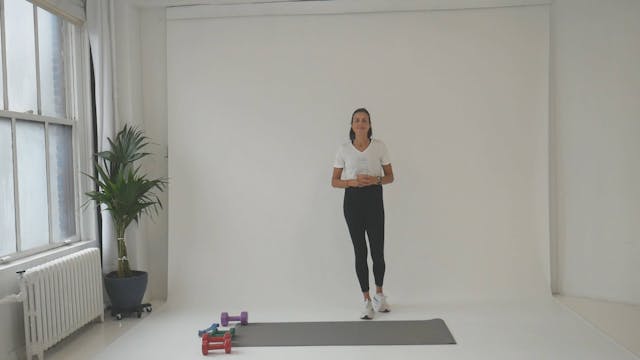 Day 3: "10 Day Back to Basics" Progra...