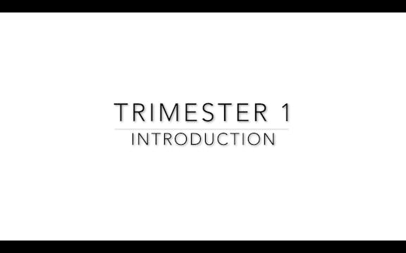 Trimester 1: Intro Video