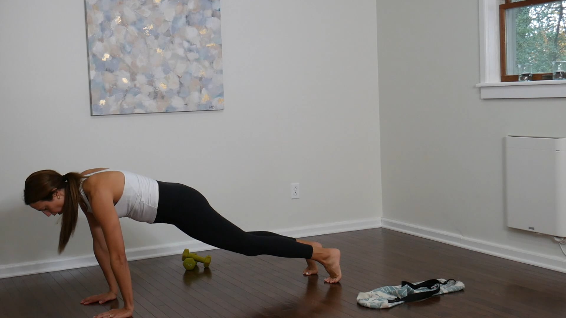 7 Min Core Blast - Dumbbells & Slider- Advanced