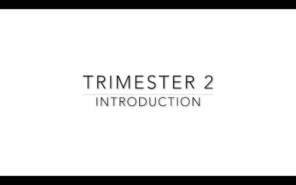 Trimester 2: Intro Video