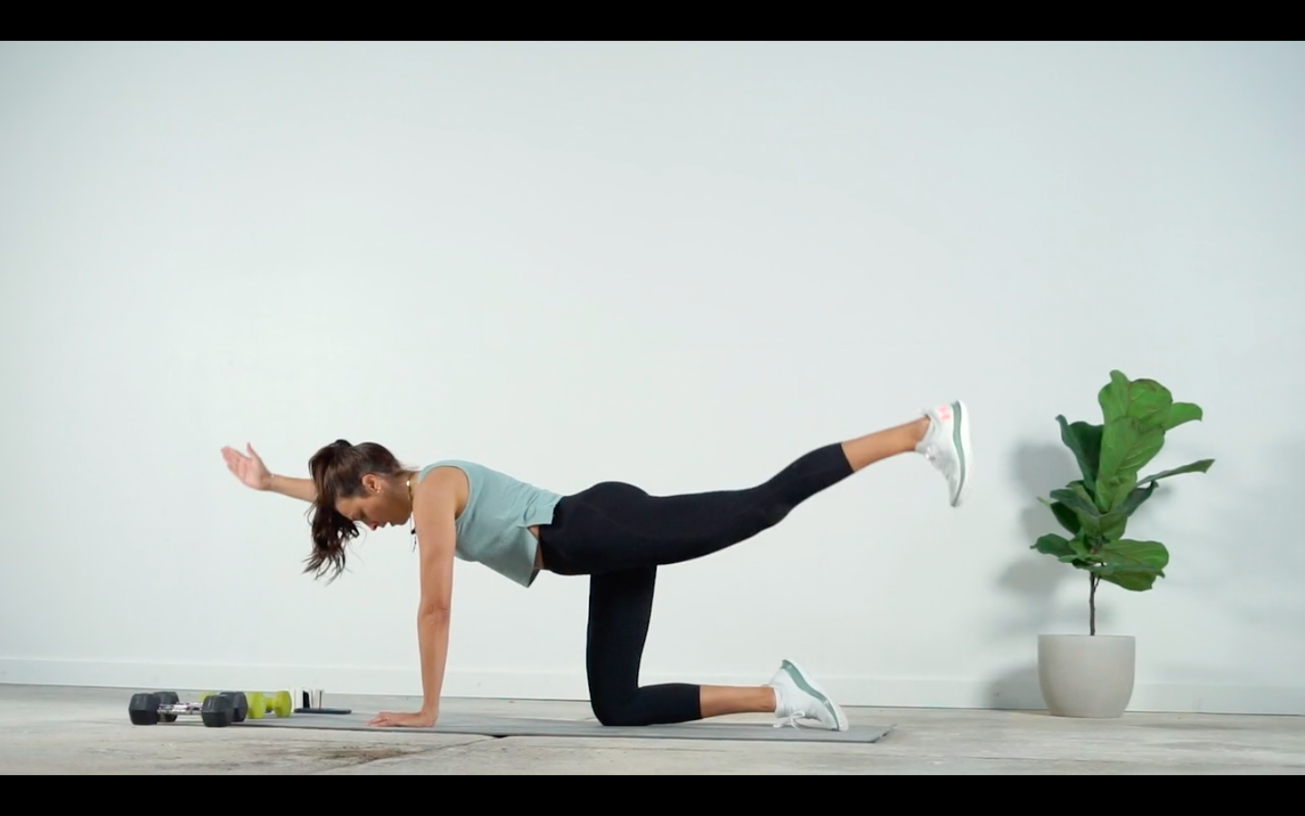 Day 10 - Glutes, Arms and Core