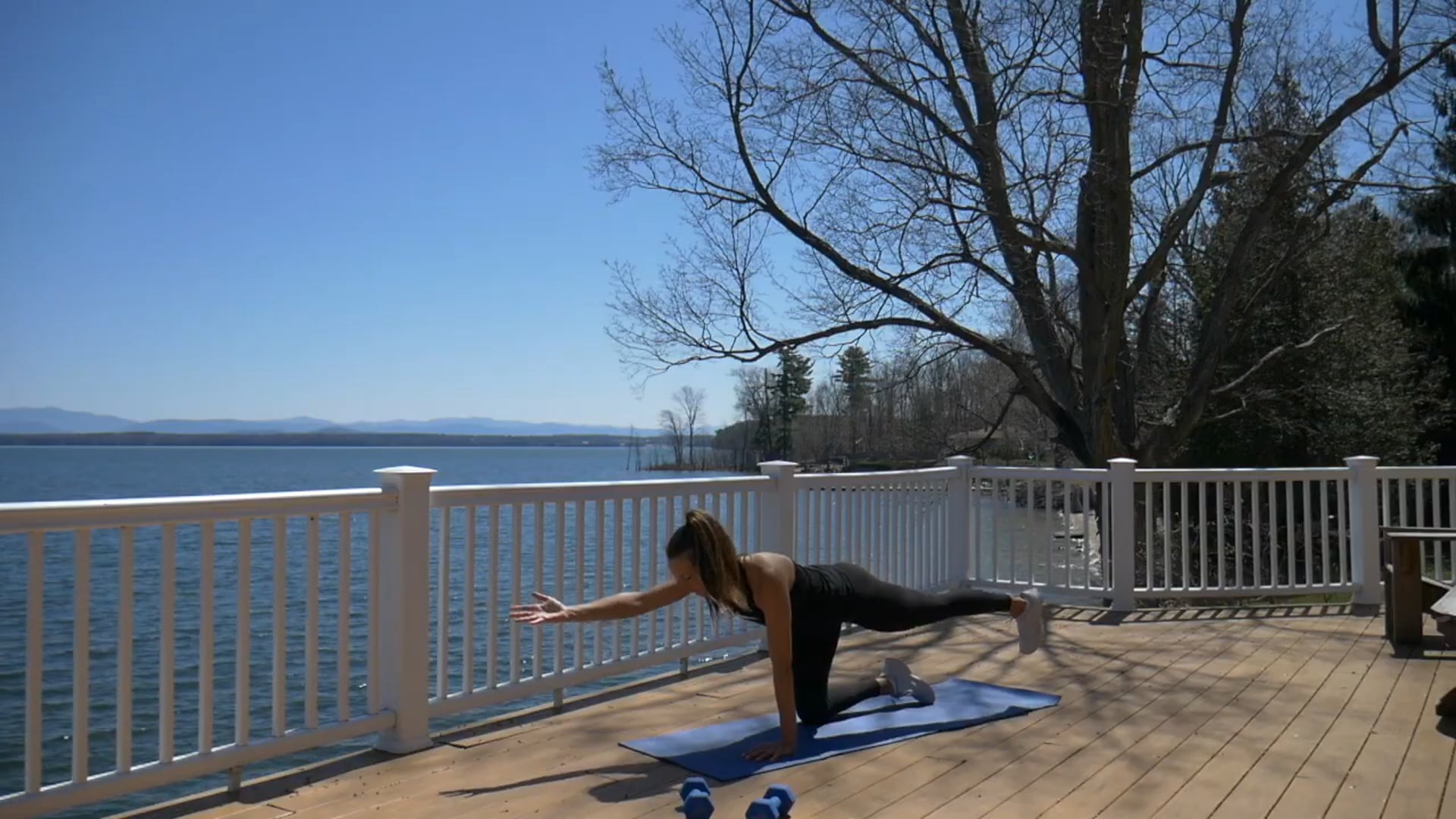 12 Min Full Body (Low Impact) - Dumbbells - Beginner