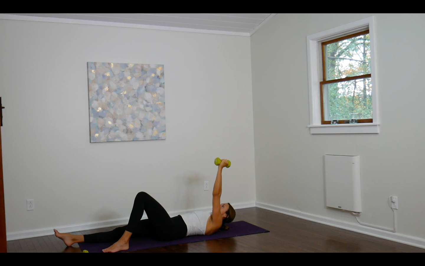 17 Min Full Body Strength - Dumbbells