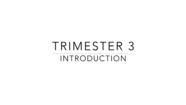 Trimester 3: Intro Video