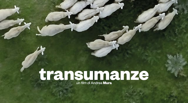 TRANSUMANZE