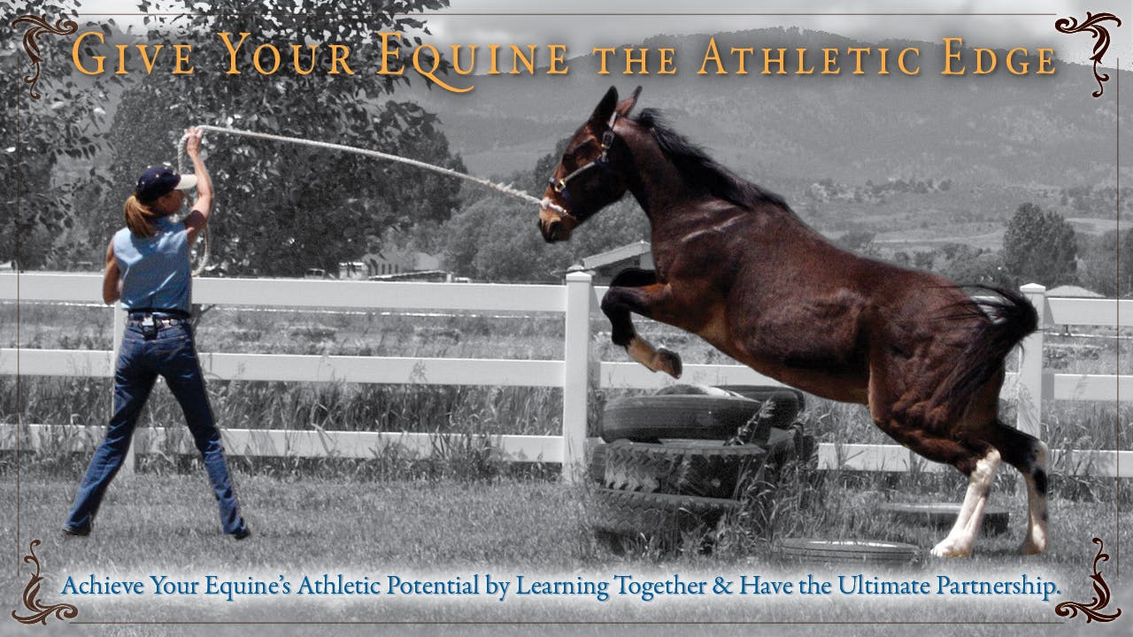 Give Your Equine the Athletic Edge