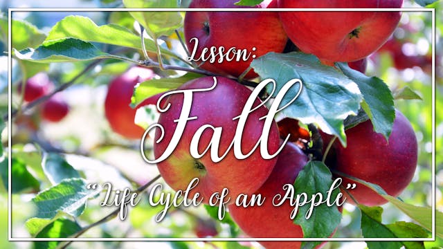 Fall - Lesson 2: "Life Cycle of an Ap...