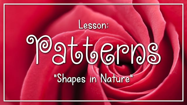 Patterns - Lesson 1: "Shapes in Nature"