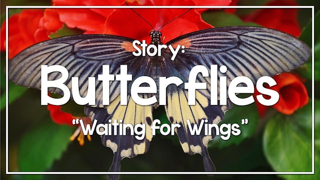 Butterflies - Story: "Waiting for Wings"