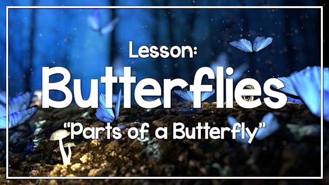 Butterflies - Lesson 2: "Parts of a Butterfly"
