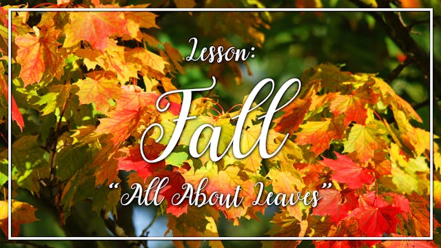 Fall - Lesson 3: "All About Leaves"