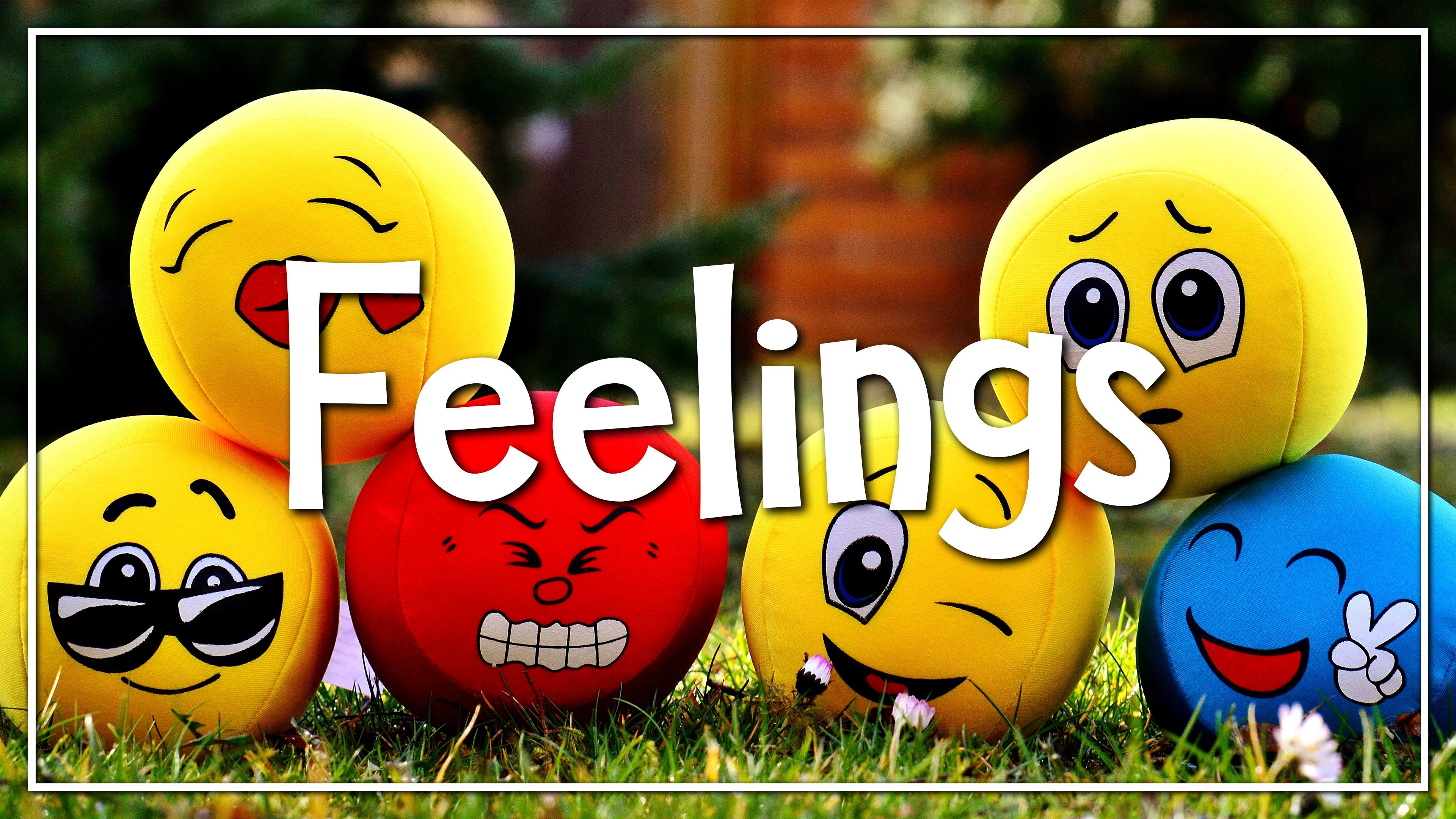 Feelings