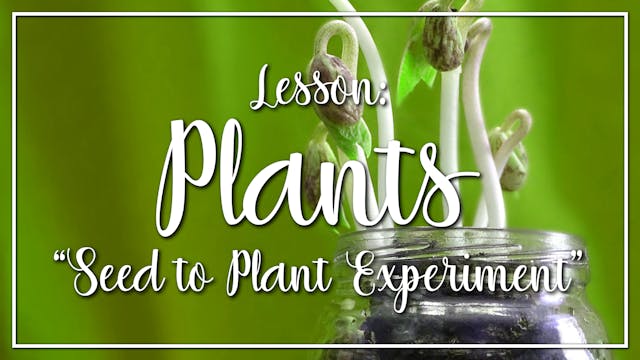 Plants - Lesson 2: "Seed to Plant Exp...