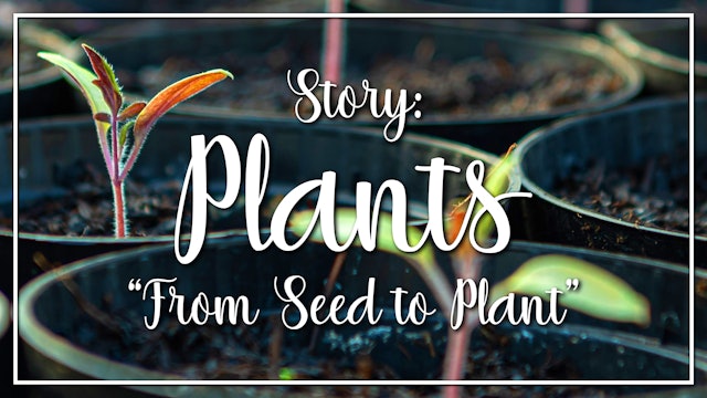 Plants - Story: "From Seed to Plant"
