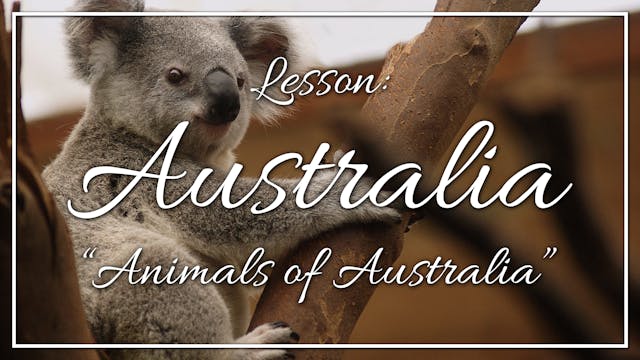 Australia - Lesson 1: "Animals of Aus...