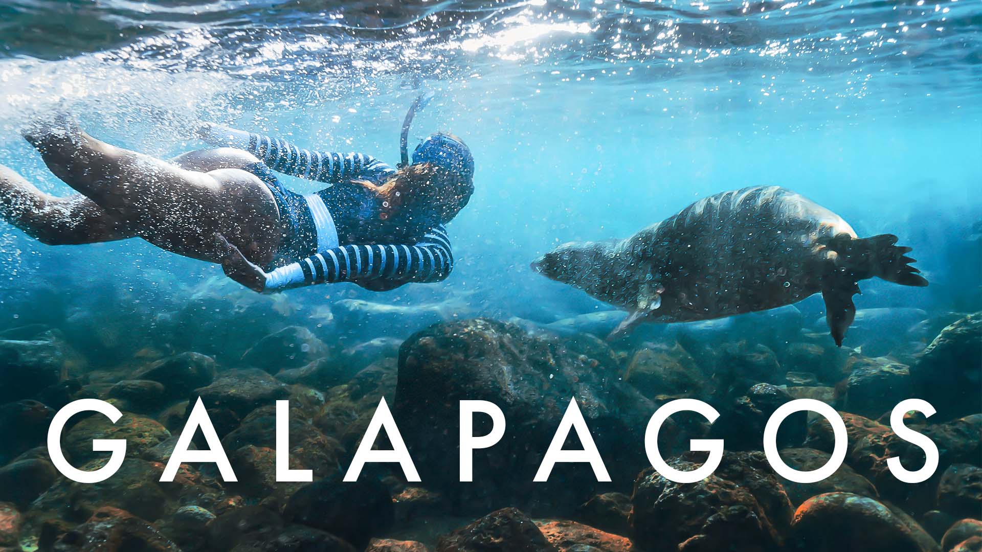 Tom Strickland - The Galapagos Islands (Episode 6)