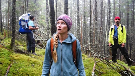 Global Child Tv Video