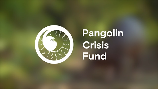 Pangolin Crisis Fund