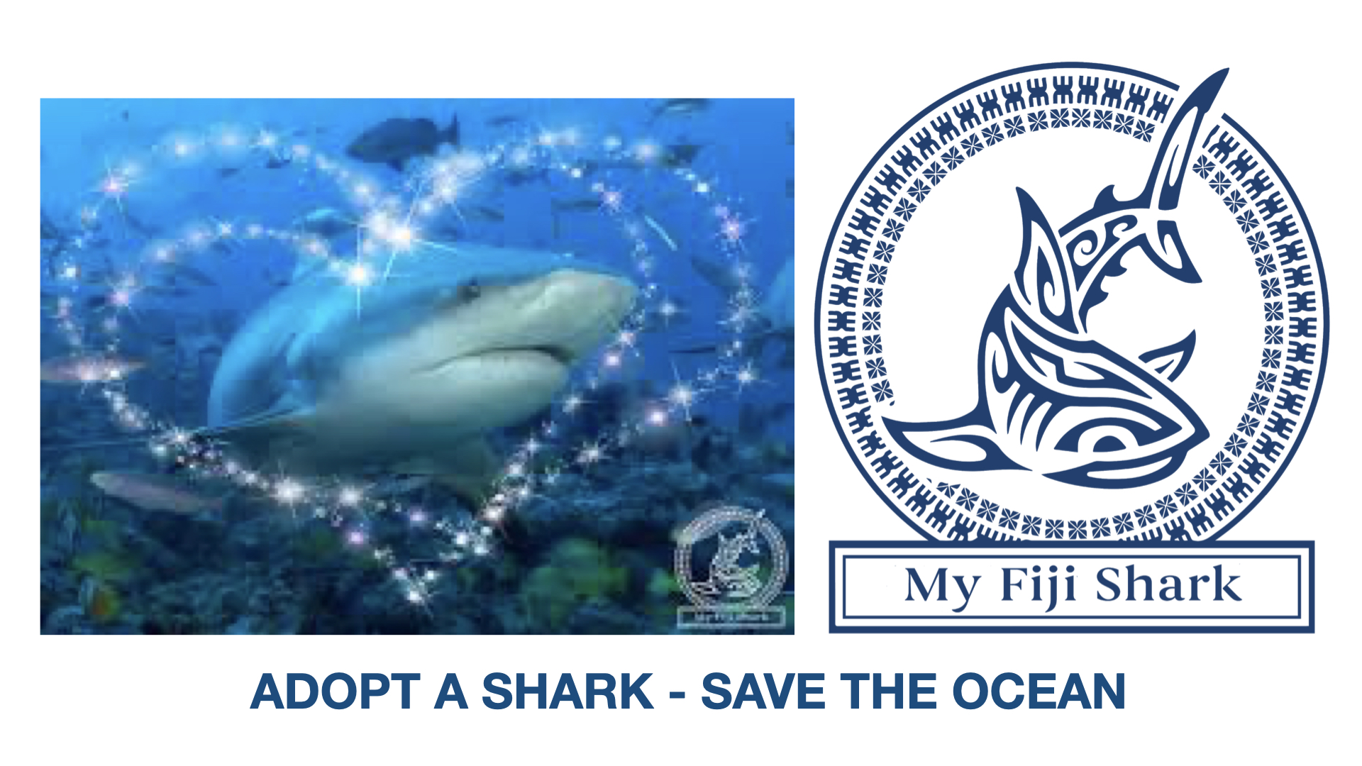 My Fiji Shark