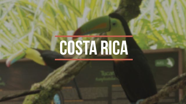 Travel Trailers: Costa Rica