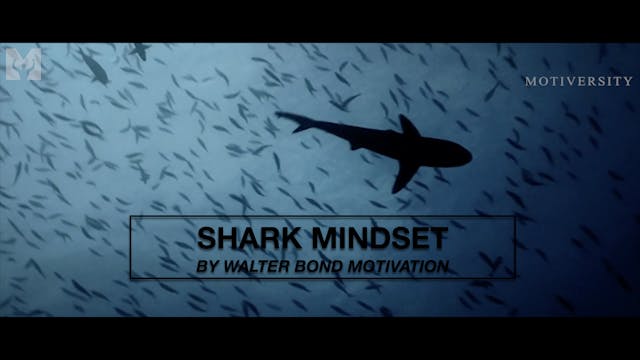 Shark Mindset