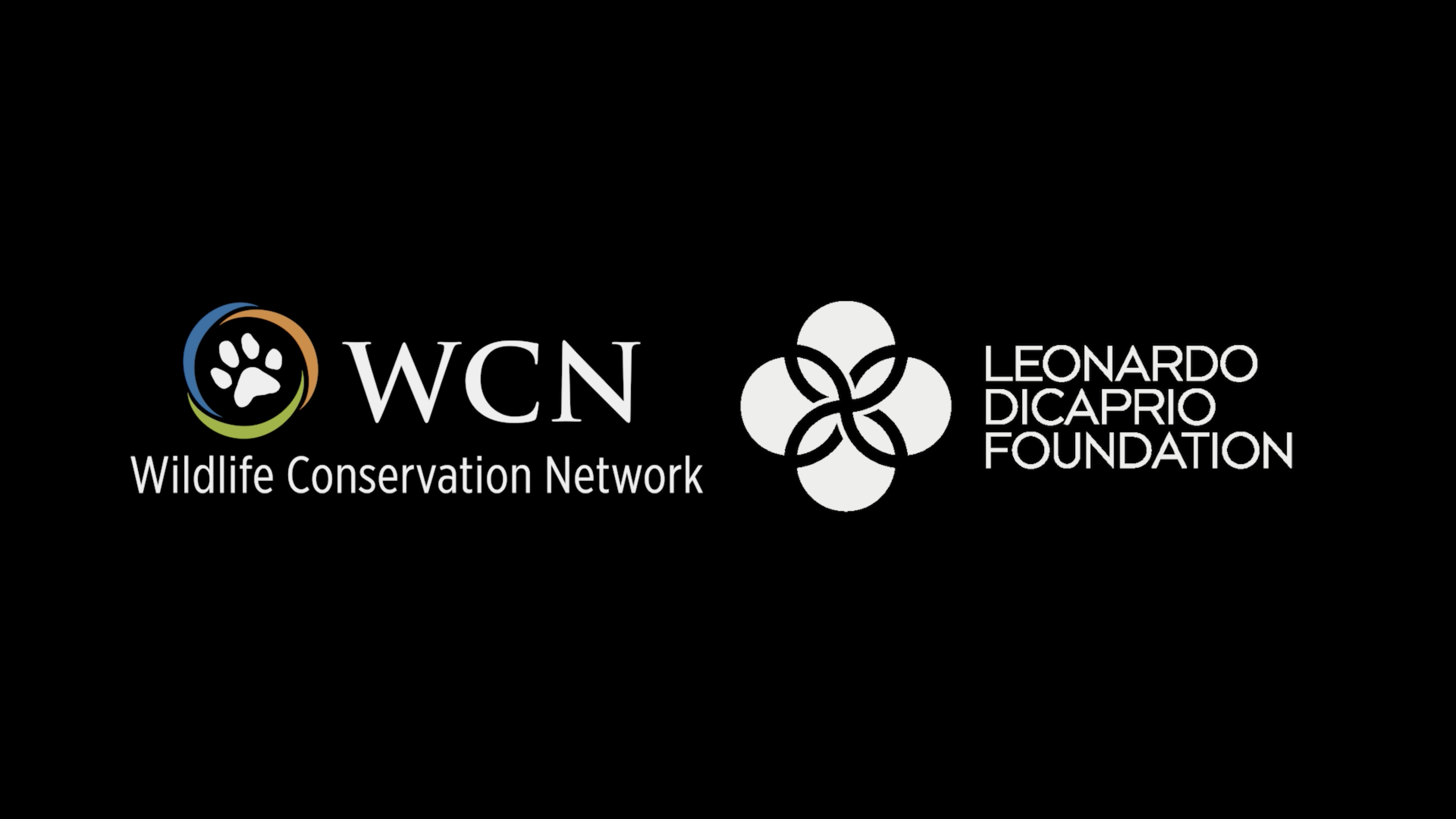 WCN - Leonardo Dicaprio Foundation
