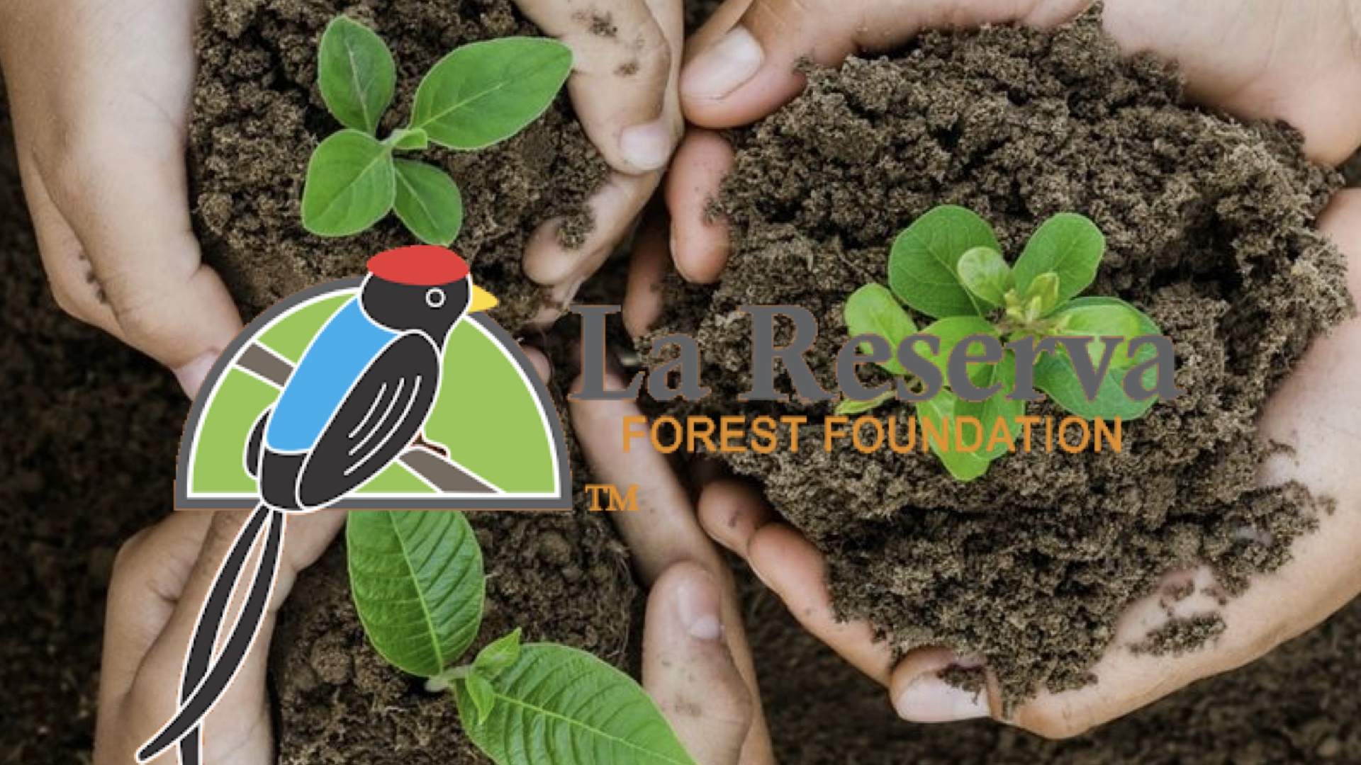 La Reserva Forest Foundation