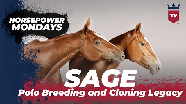 SAGE - Polo Breeding and Cloning Legacy