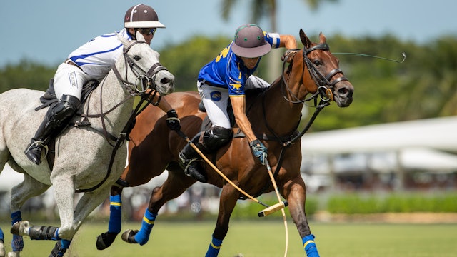 Coming October 1st! Breakaway Polo in Palm Beach