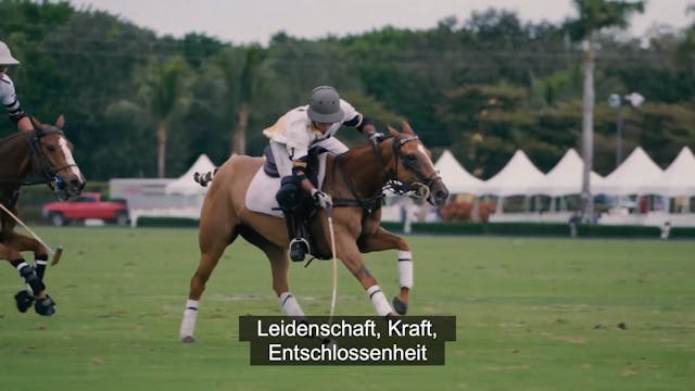 Global Polo Show: Fight for the Title...