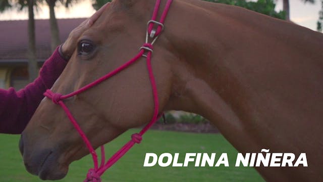Dolfina Niñera - Gringo Colombres