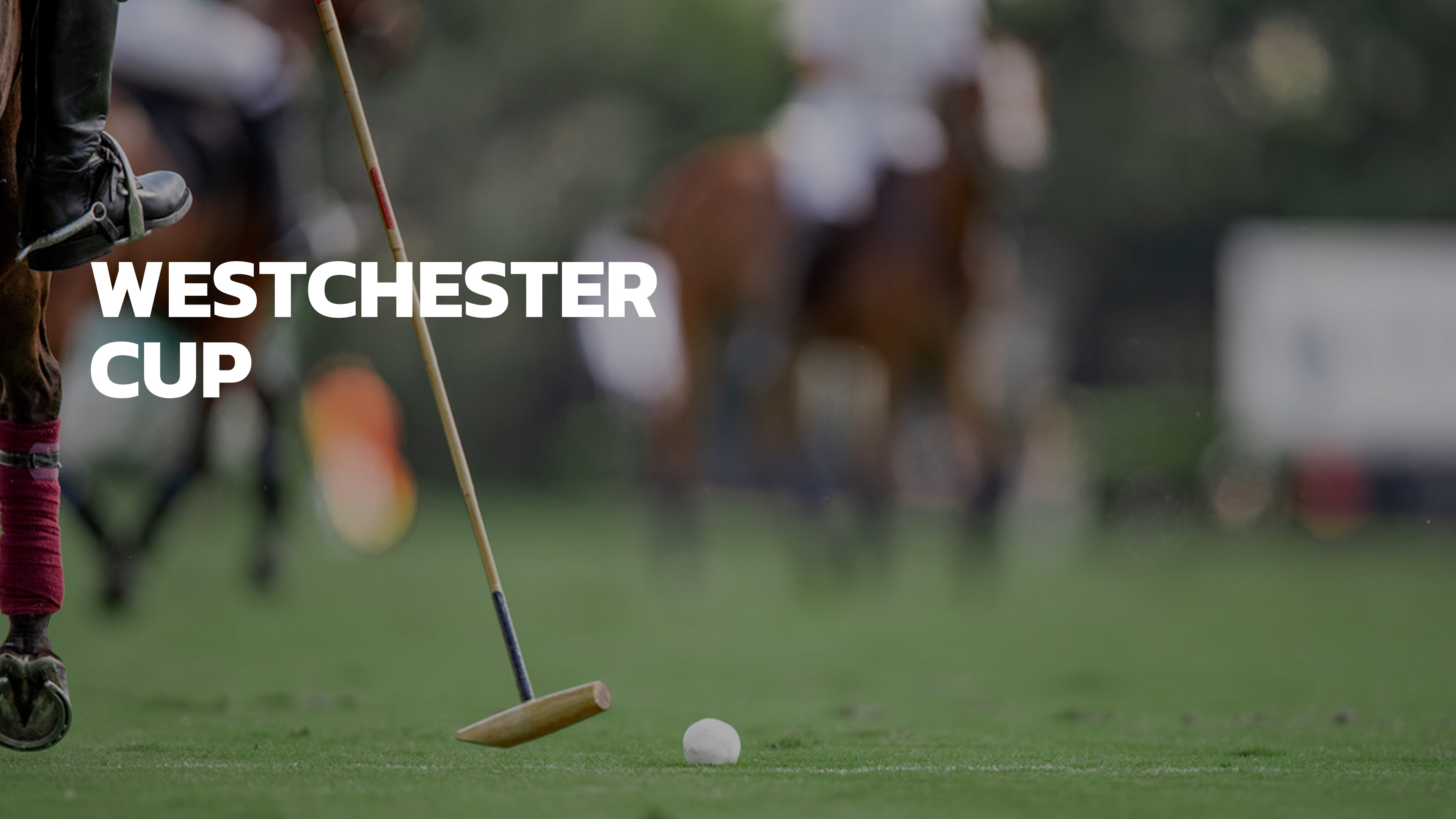Westchester Cup Global Polo TV