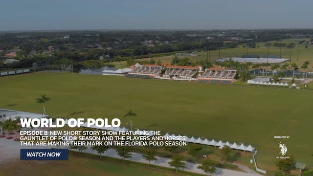World of Polo - Show 8 - Gauntlet of ...