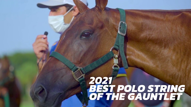 2021 Best Polo String of the Gauntlet - Hilario Ulloa