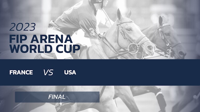 FIP Arena World Cup - Final - France vs. USA