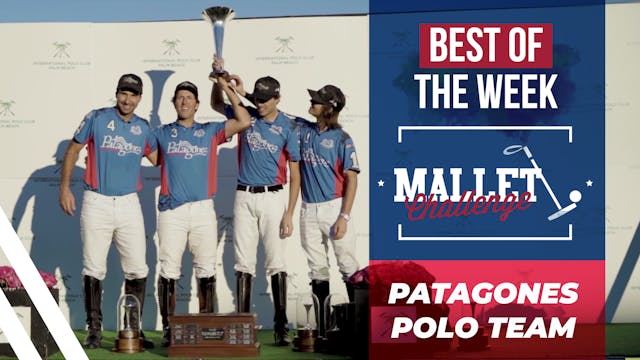 Mallet Challenge - Patagones Polo Team