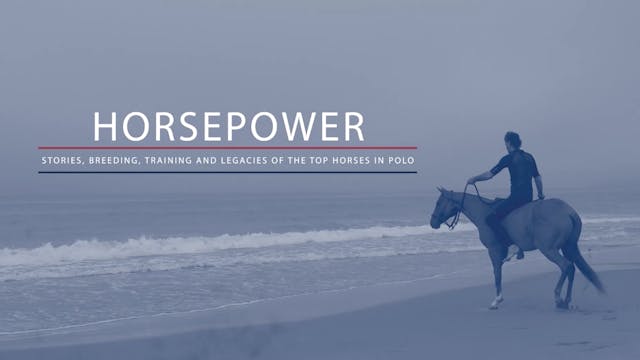 Horsepower - Swimming with Horses