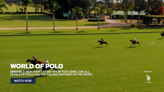 World of Polo - Show 3 - The Different Levels of Polo