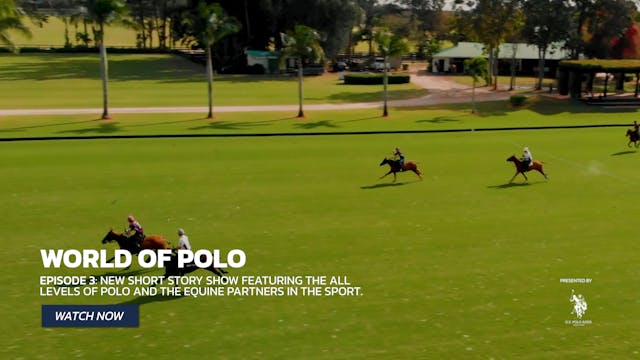 World of Polo - Show 3 - The Differen...