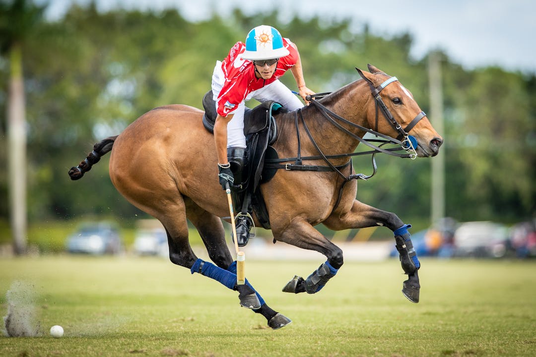 Player Spotlight: Poroto Cambiaso - Global Polo TV