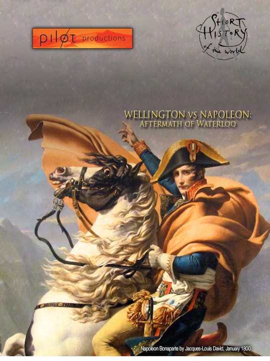 Wellington VS Napoleon - Aftermath of Waterloo 