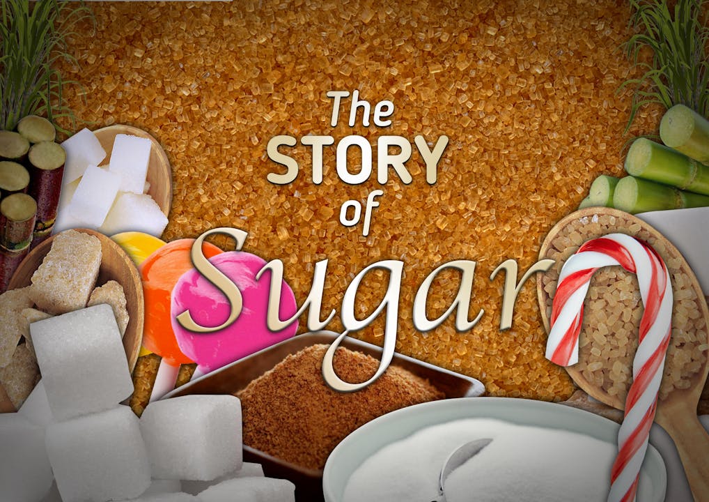 The Story of Sugar