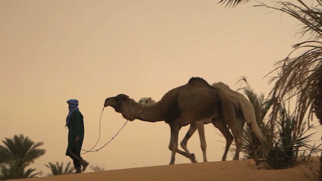 Hidden Algeria - Episode 1 Algiers