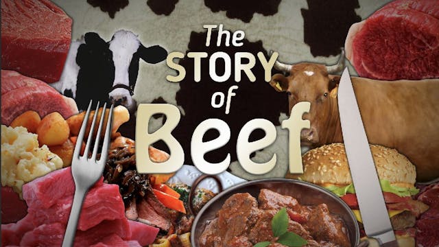 Story of Beef
