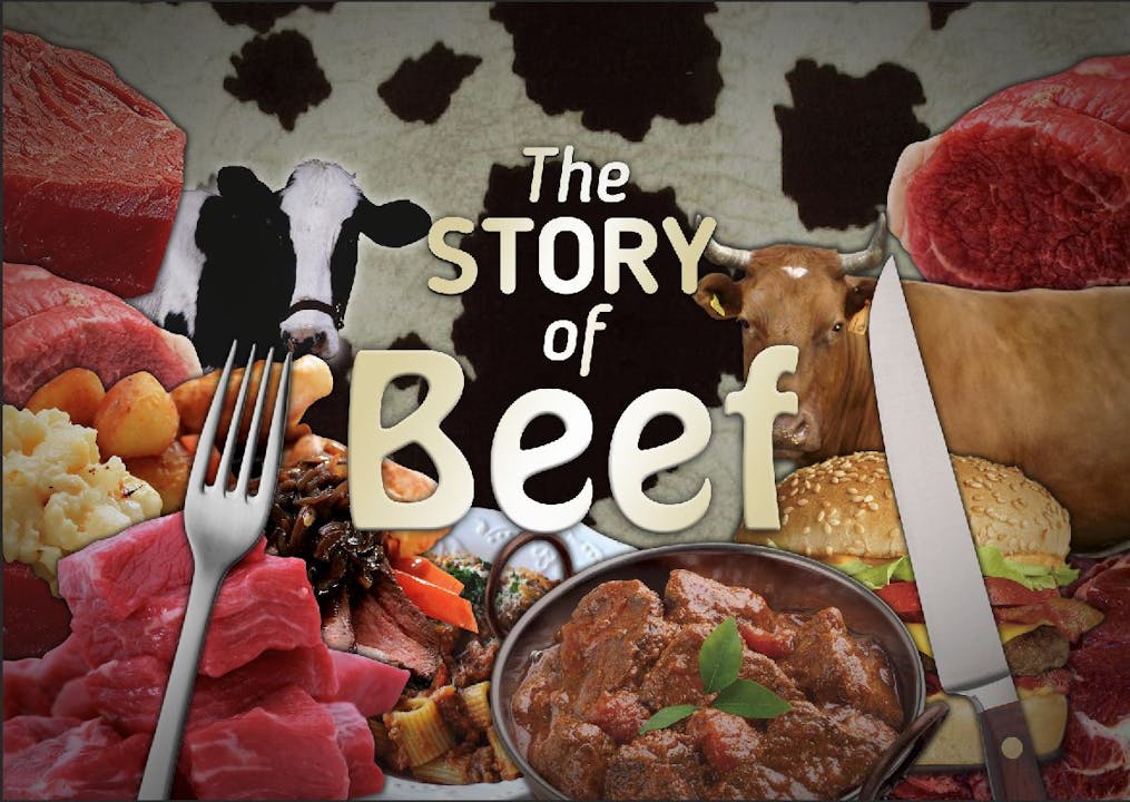 Story of Beef