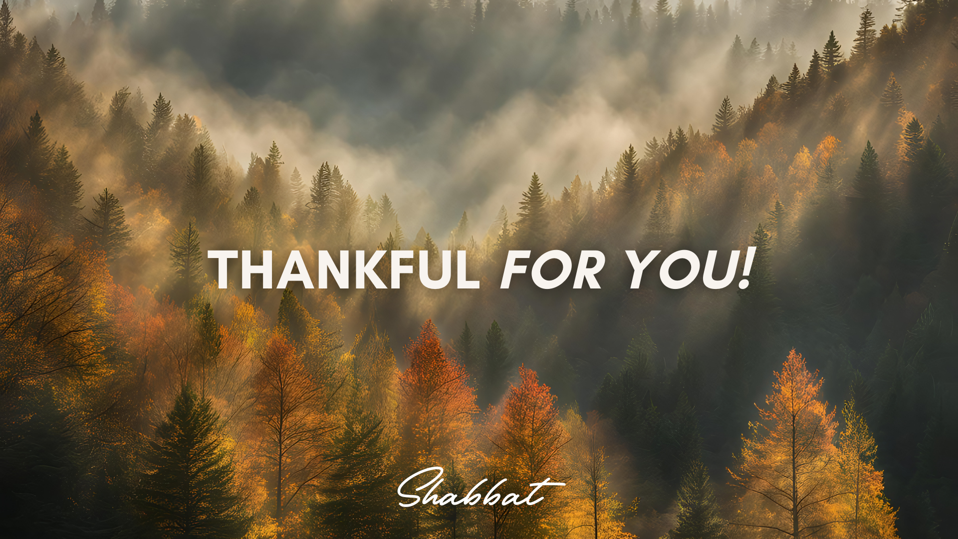 Shabbat: Thankful for You! (11/28)