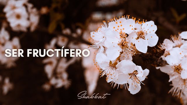 Shabbat: Ser Fructífero (11/14)