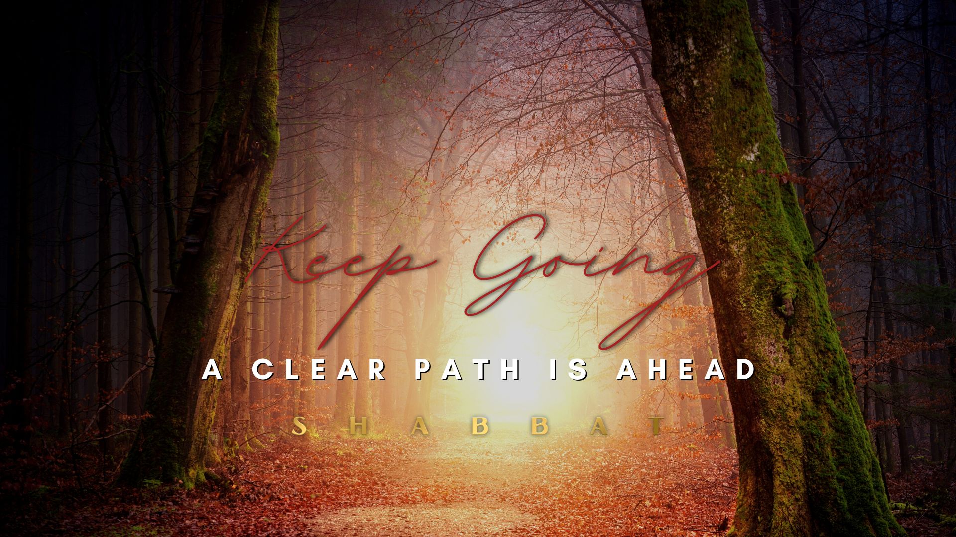 Shabbat: Keep Going: A Clear Path is Ahead! (7/01)