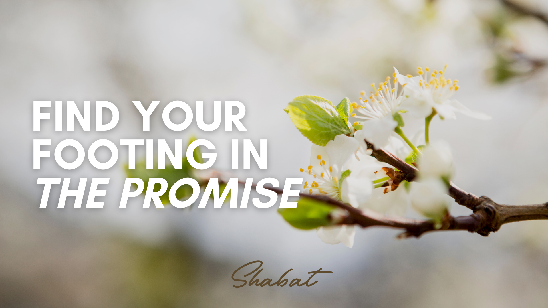 Shabbat: Find Your Footing in the Promise (5/23)