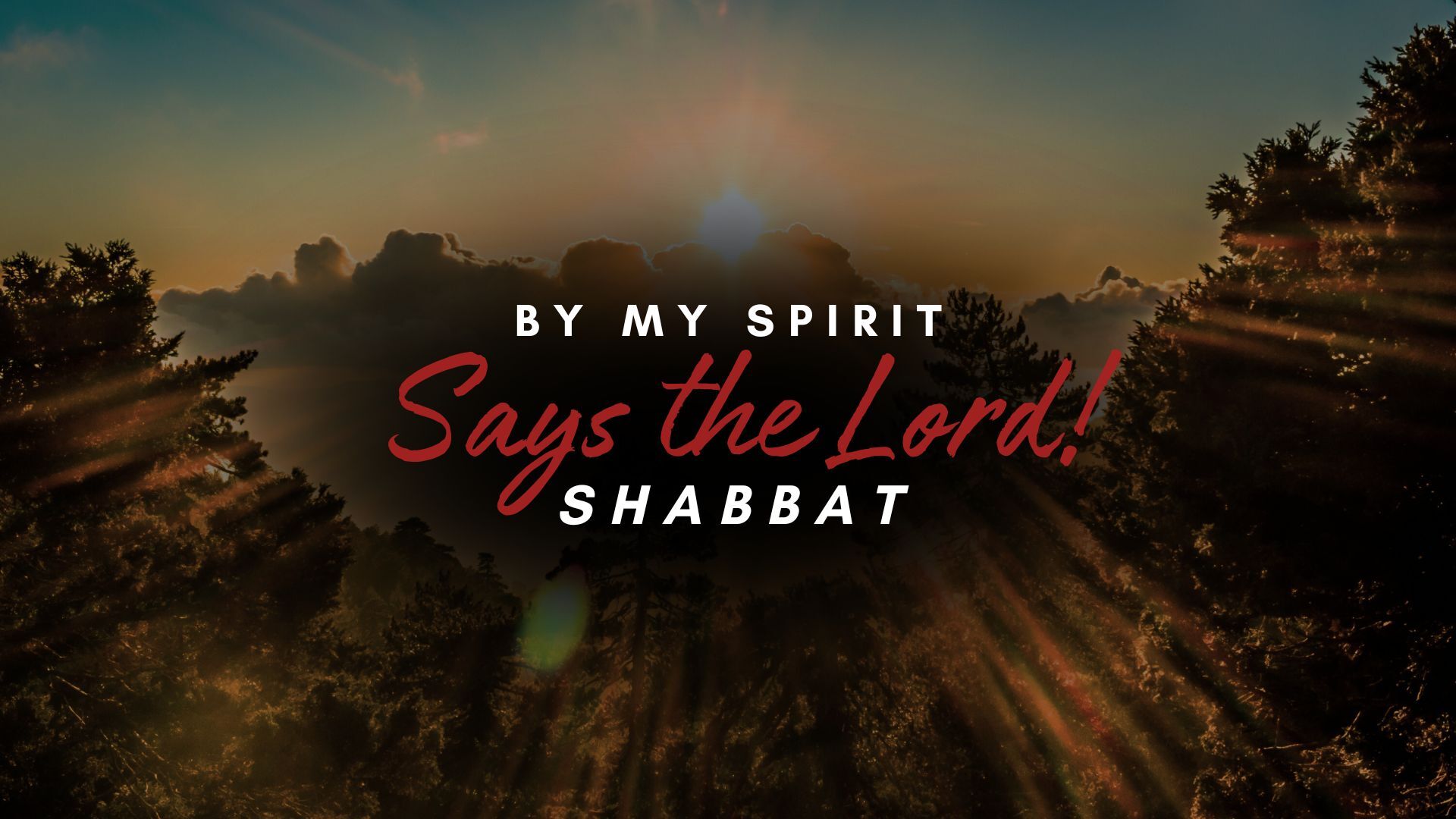 Shabbat: By My Spirit Says the Lord! (8/23) 